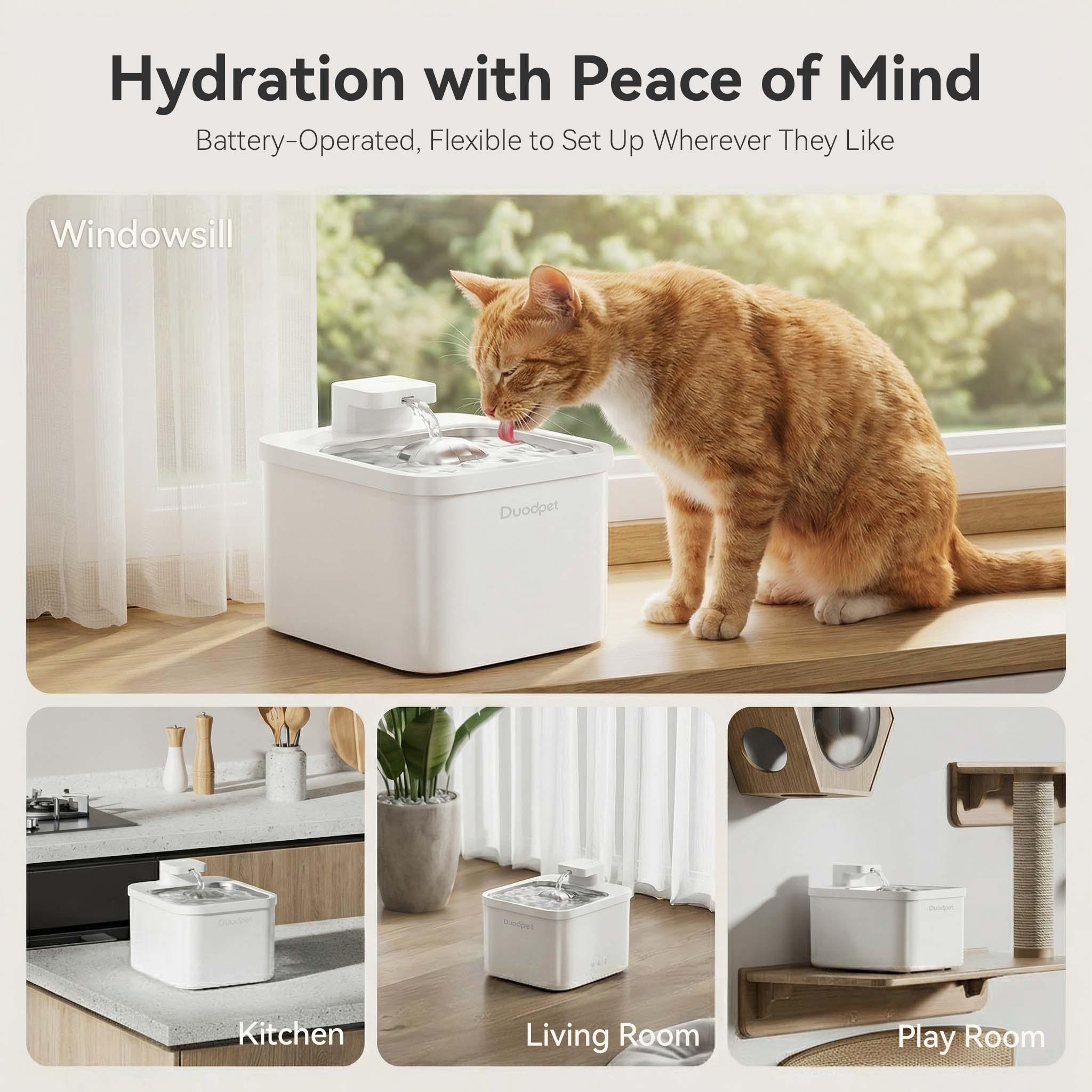 Duodpet W01-K Stainless Steel Cordless Pet Fountain6
