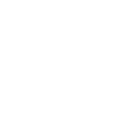 Observe & Understand